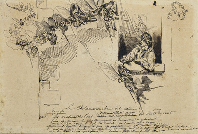 le-choleramouche