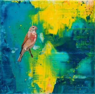 mokolagwa-iii