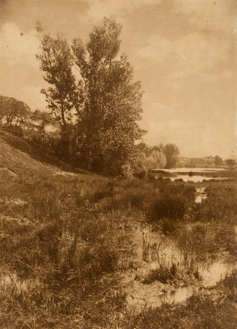 untitled-landscape