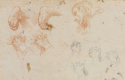 studies-of-hands-feet-and-a-head-recto-study-of-a-bearded-man-and-a-hand-verso