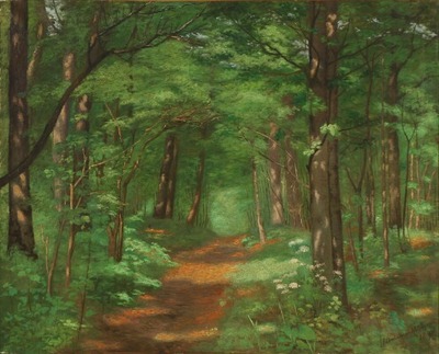 view-from-a-beech-forest-at-springtime