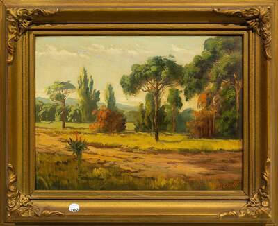 smitsdorp-transvaal