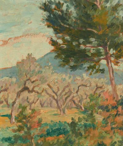 olive-tree-afternoon-la-lavandau