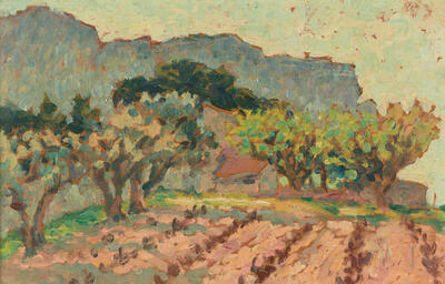 sunken-vineyards-south-of-france