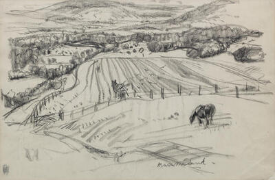 ploughing-rhynie