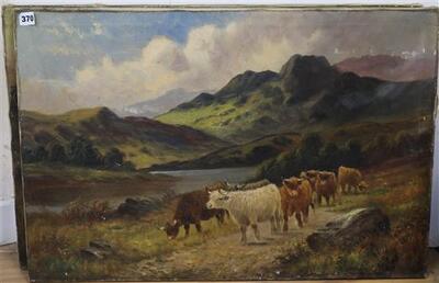 highland-cattle