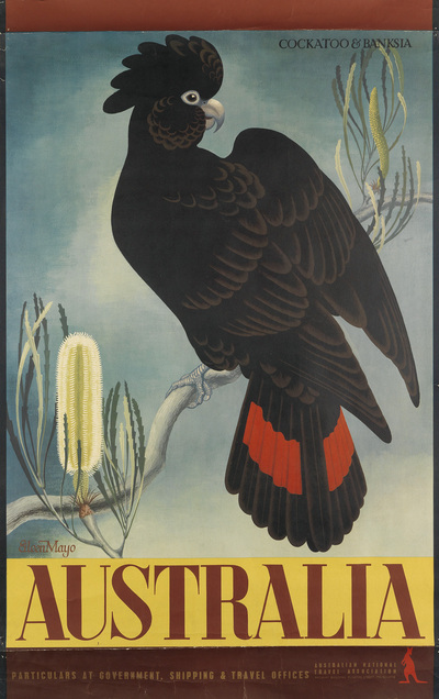 australia-cockatoo-banksia