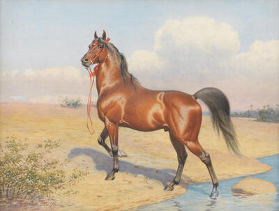 arab-horse-by-an-oasis