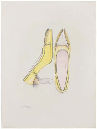 zwitterschuh-hermaphrodite-shoe