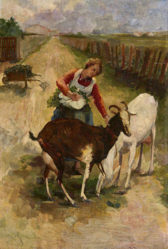 bauerin-beim-futtern-von-ziegen-mit-rebblattern