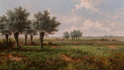meadows-in-holland