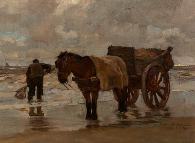 shell-fisher-on-the-beach