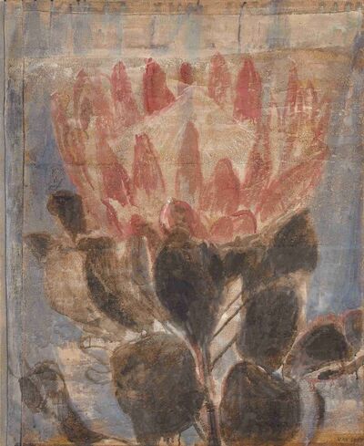 small-king-protea-gill