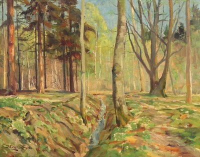 spring-day-in-the-forest