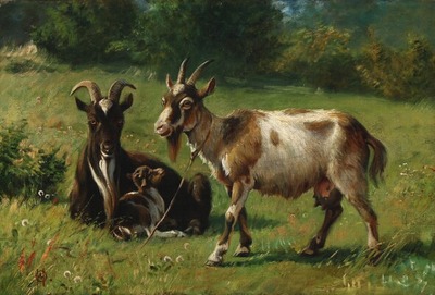 view-from-a-meadow-with-a-family-of-goats