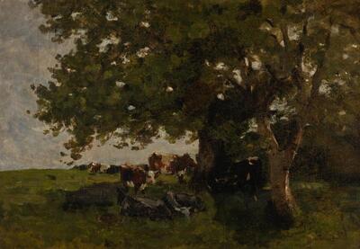 cows-sheltering-under-a-tree