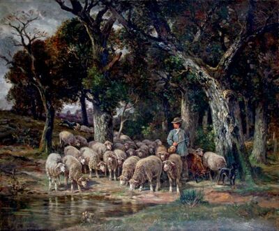 berger-et-son-troupeau-de-moutons-s-abreuvant