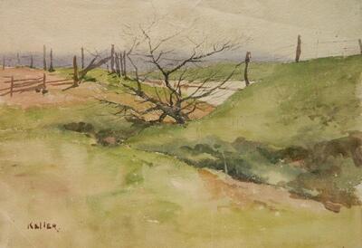 spring-landscape