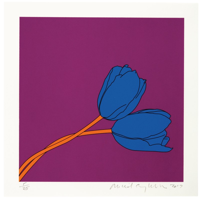 tulips-after-robert-mapplethorpe