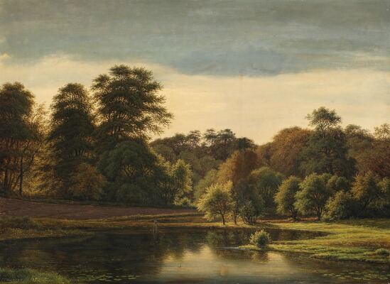 summer-landscape-with-a-forest-lake