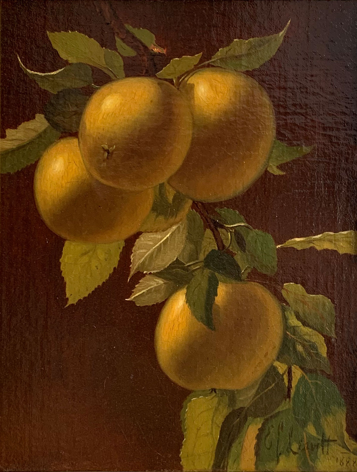 still-life-of-apples