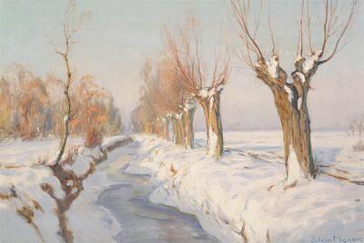 winter-namiddagzon-blaricum-winter-afternoon-sun-in-blaricum
