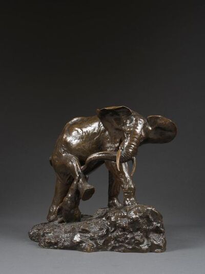 biche-et-brocard