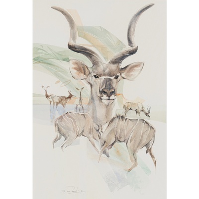kudu