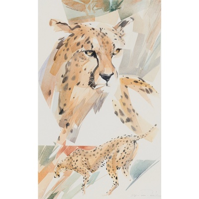 cheetah