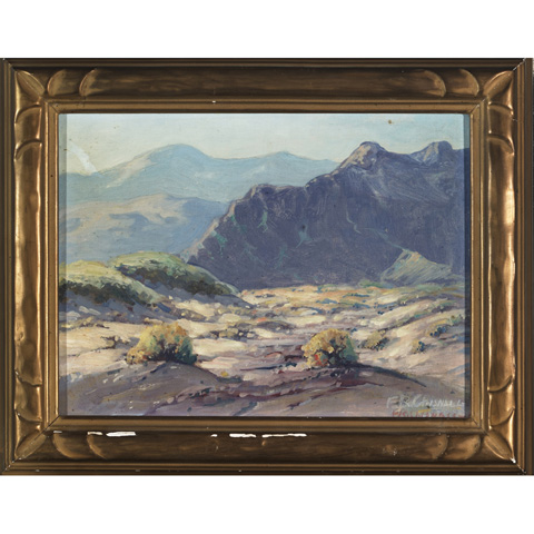 desert-verbena-coachelle-valley-california