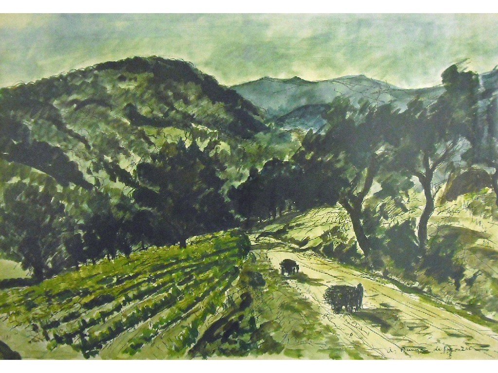 la-route-de-grimaud