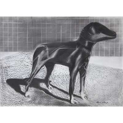masked-dog