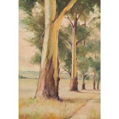 bluegum-trees-along-a-pathway