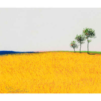 field