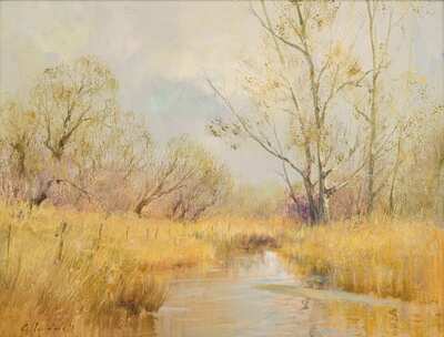 trees-by-a-stream